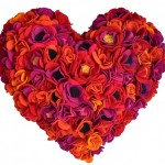 anemonlu kalp yastık